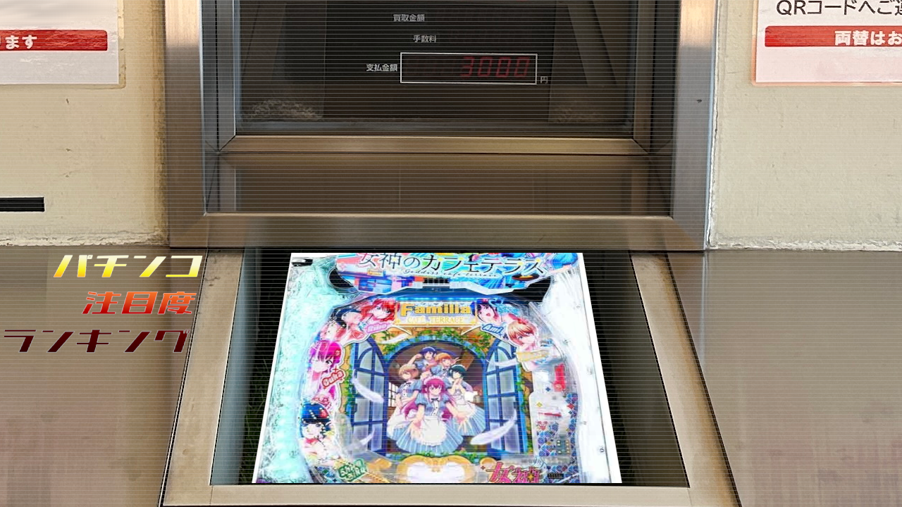 【49】P_P-World TOP10_2025