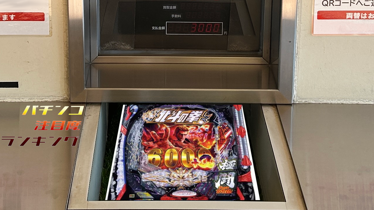 【50】P_P-World TOP10_2025