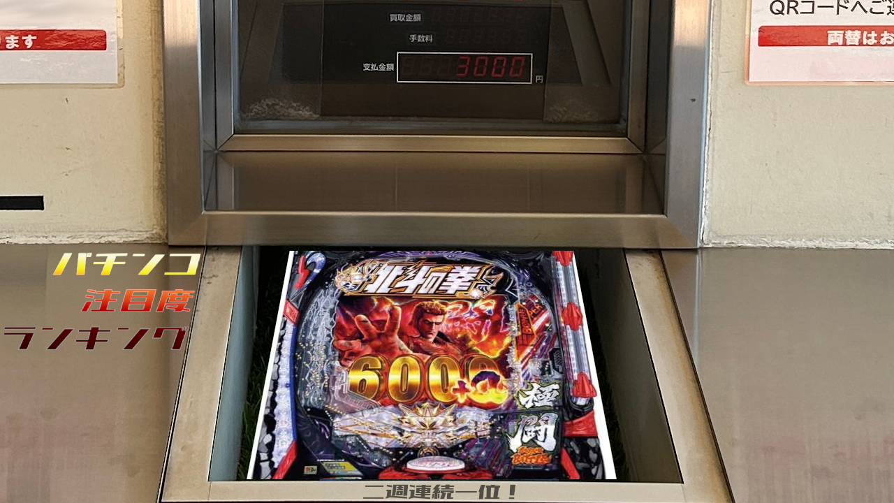 【51】P_P-World TOP10_2025